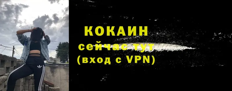 купить наркотик  Кировск  COCAIN 97% 